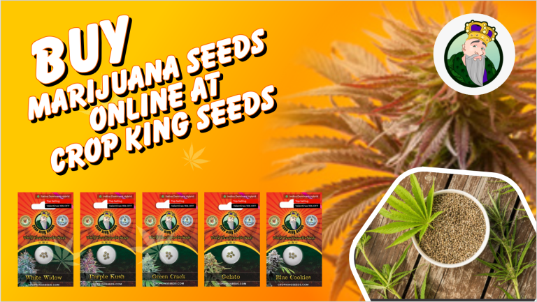 Crop King Seeds 768x433