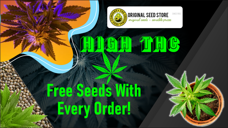 Original Sensible Seeds Store 768x433
